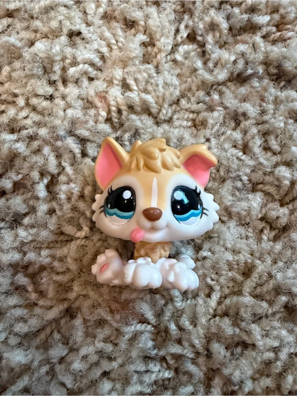Cream Husky Littlest pet shop